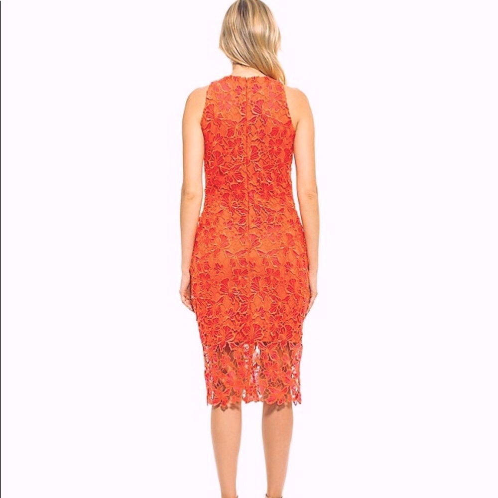 Alexia Admor Coral Reese Halter Lace Midi Sheath Dress - Picture 2 of 16